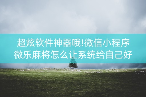 超炫软件神器哦!微信小程序微乐麻将怎么让系统给自己好牌(有什么规律吗)
