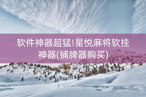 软件神器超猛!星悦麻将软挂神器(铺牌器购买)