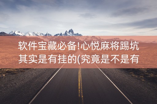 软件宝藏必备!心悦麻将踢坑其实是有挂的(究竟是不是有挂)