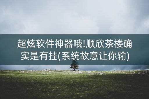 超炫软件神器哦!顺欣茶楼确实是有挂(系统故意让你输)