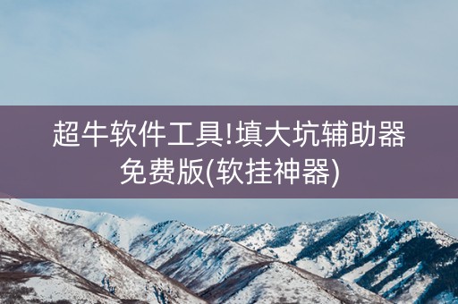 超牛软件工具!填大坑辅助器免费版(软挂神器)