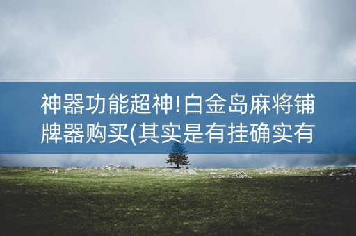 神器功能超神!白金岛麻将铺牌器购买(其实是有挂确实有挂)