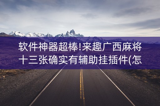 软件神器超棒!来趣广西麻将十三张确实有辅助挂插件(怎么提高好牌率)