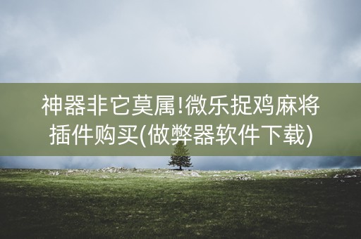 神器非它莫属!微乐捉鸡麻将插件购买(做弊器软件下载)