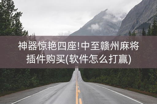 神器惊艳四座!中至赣州麻将插件购买(软件怎么打赢)
