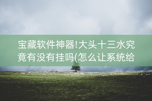 宝藏软件神器!大头十三水究竟有没有挂吗(怎么让系统给好牌)