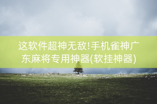 这软件超神无敌!手机雀神广东麻将专用神器(软挂神器)