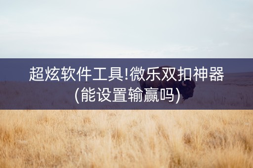 超炫软件工具!微乐双扣神器(能设置输赢吗)