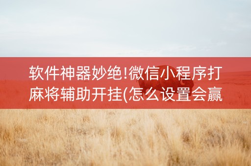软件神器妙绝!微信小程序打麻将辅助开挂(怎么设置会赢)