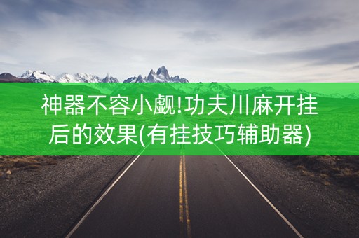 神器不容小觑!功夫川麻开挂后的效果(有挂技巧辅助器)