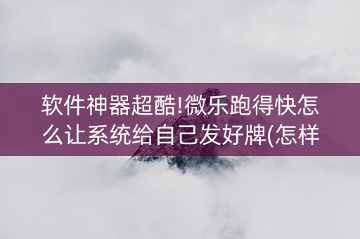软件神器超酷!微乐跑得快怎么让系统给自己发好牌(怎样才能赢)