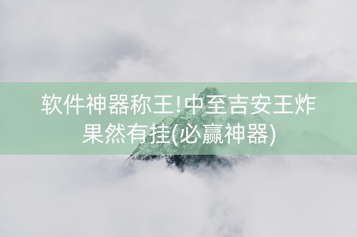 软件神器称王!中至吉安王炸果然有挂(必赢神器)