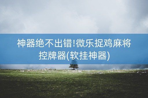 神器绝不出错!微乐捉鸡麻将控牌器(软挂神器)