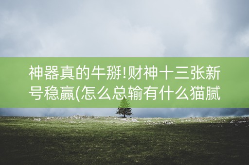神器真的牛掰!财神十三张新号稳赢(怎么总输有什么猫腻)