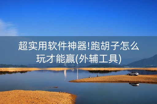 超实用软件神器!跑胡子怎么玩才能赢(外辅工具)