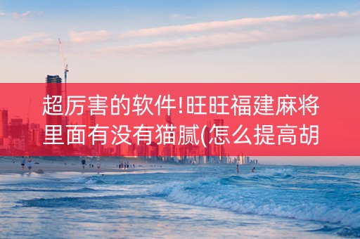 超厉害的软件!旺旺福建麻将里面有没有猫腻(怎么提高胡牌率)