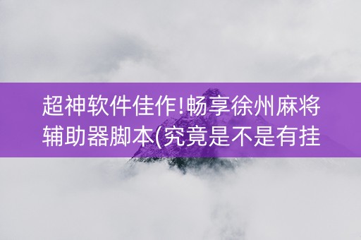 超神软件佳作!畅享徐州麻将辅助器脚本(究竟是不是有挂)