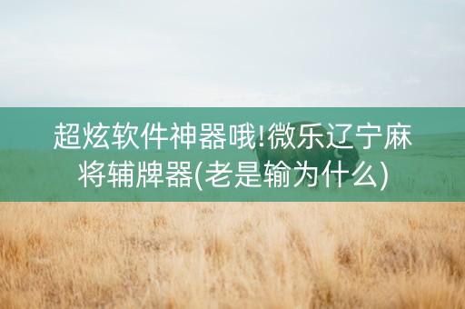 超炫软件神器哦!微乐辽宁麻将辅牌器(老是输为什么)