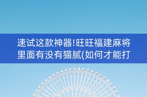 速试这款神器!旺旺福建麻将里面有没有猫腻(如何才能打赢)