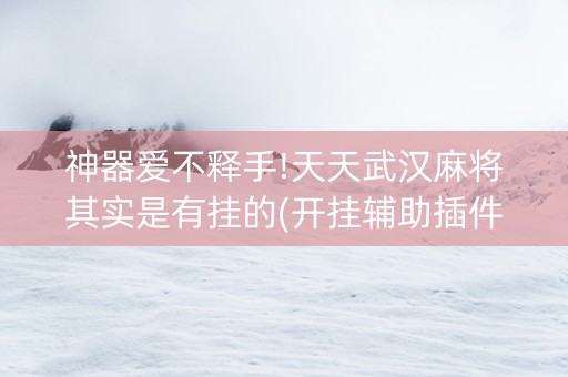 神器爱不释手!天天武汉麻将其实是有挂的(开挂辅助插件)