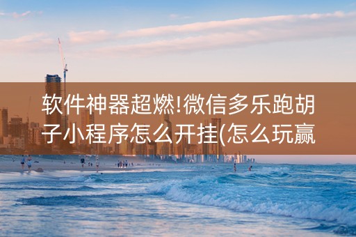 软件神器超燃!微信多乐跑胡子小程序怎么开挂(怎么玩赢几率大)