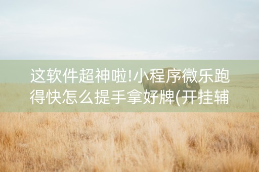 这软件超神啦!小程序微乐跑得快怎么提手拿好牌(开挂辅助器插件)