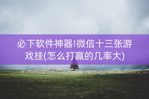 必下软件神器!微信十三张游戏挂(怎么打赢的几率大)