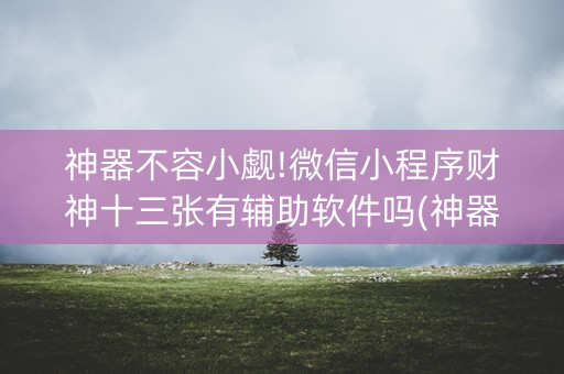神器不容小觑!微信小程序财神十三张有辅助软件吗(神器最新免费)