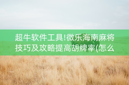 超牛软件工具!微乐海南麻将技巧及攻略提高胡牌率(怎么打会赢)