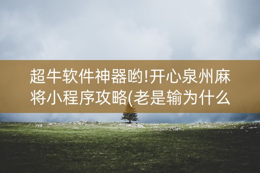 超牛软件神器哟!开心泉州麻将小程序攻略(老是输为什么)