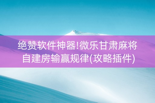绝赞软件神器!微乐甘肃麻将自建房输赢规律(攻略插件)