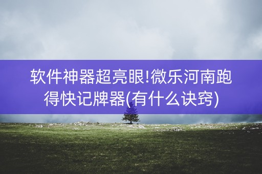 软件神器超亮眼!微乐河南跑得快记牌器(有什么诀窍)