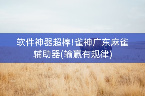 软件神器超棒!雀神广东麻雀辅助器(输赢有规律)
