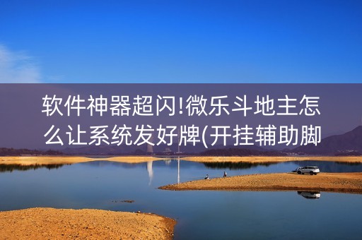 软件神器超闪!微乐斗地主怎么让系统发好牌(开挂辅助脚本)