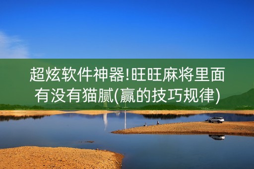 超炫软件神器!旺旺麻将里面有没有猫腻(赢的技巧规律)