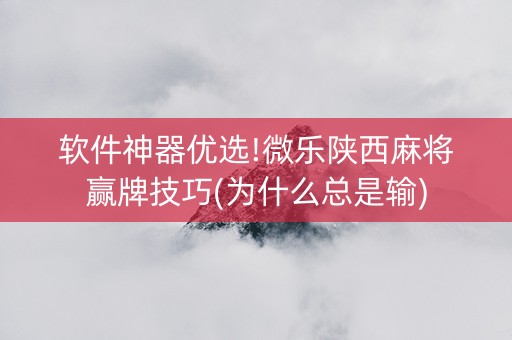 软件神器优选!微乐陕西麻将赢牌技巧(为什么总是输)