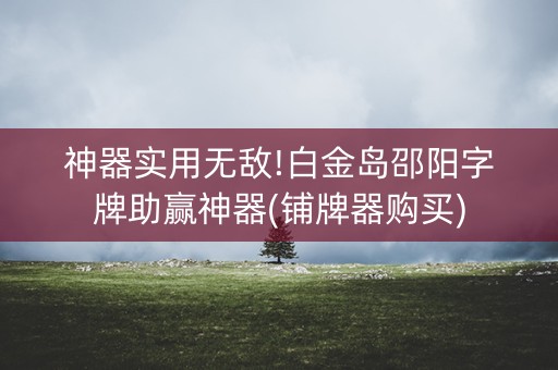 神器实用无敌!白金岛邵阳字牌助赢神器(铺牌器购买)