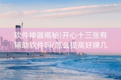软件神器揭秘!开心十三张有辅助软件吗(怎么提高好牌几率)
