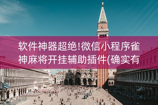 软件神器超绝!微信小程序雀神麻将开挂辅助插件(确实有挂)