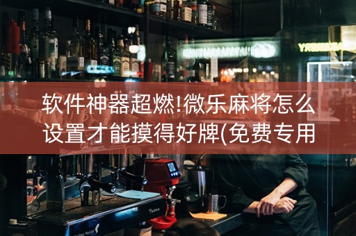 软件神器超燃!微乐麻将怎么设置才能摸得好牌(免费专用神器)