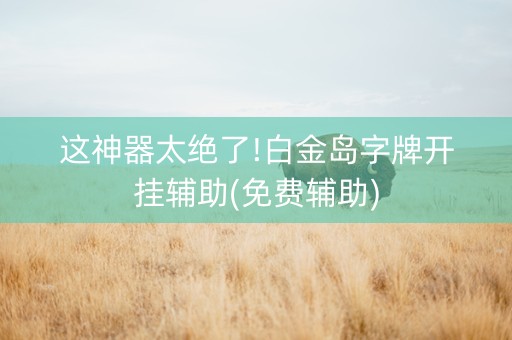 这神器太绝了!白金岛字牌开挂辅助(免费辅助)