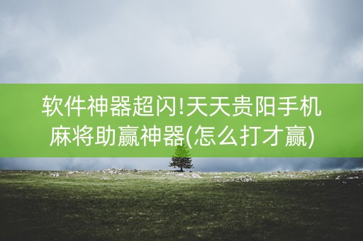 软件神器超闪!天天贵阳手机麻将助赢神器(怎么打才赢)