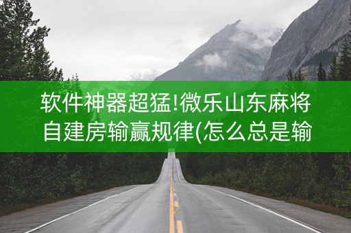 软件神器超猛!微乐山东麻将自建房输赢规律(怎么总是输)