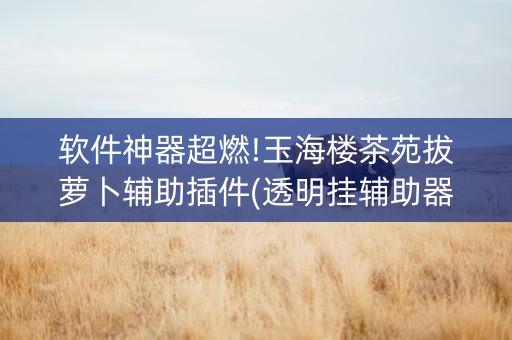 软件神器超燃!玉海楼茶苑拔萝卜辅助插件(透明挂辅助器)