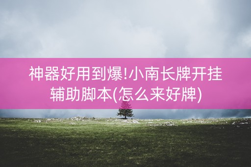 神器好用到爆!小南长牌开挂辅助脚本(怎么来好牌)