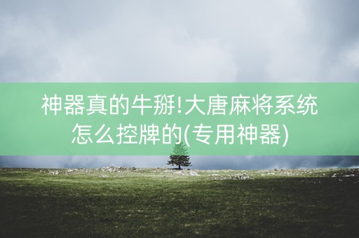 神器真的牛掰!大唐麻将系统怎么控牌的(专用神器)