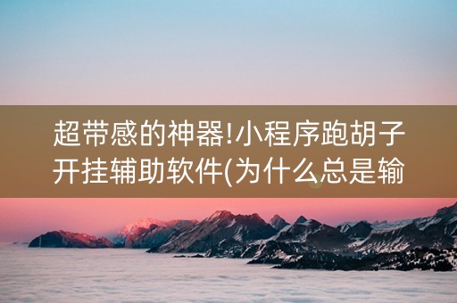 超带感的神器!小程序跑胡子开挂辅助软件(为什么总是输)