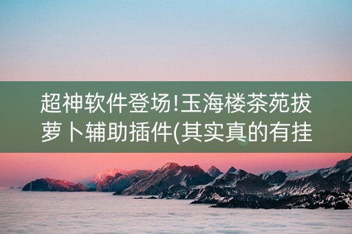 超神软件登场!玉海楼茶苑拔萝卜辅助插件(其实真的有挂)