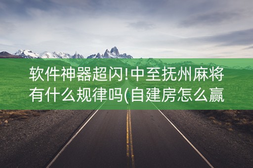 软件神器超闪!中至抚州麻将有什么规律吗(自建房怎么赢)