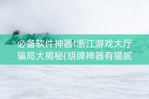 必备软件神器!浙江游戏大厅骗局大揭秘(胡牌神器有猫腻吗)